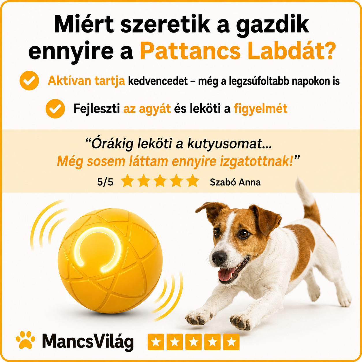 MancsVilág™ |  Pattancs