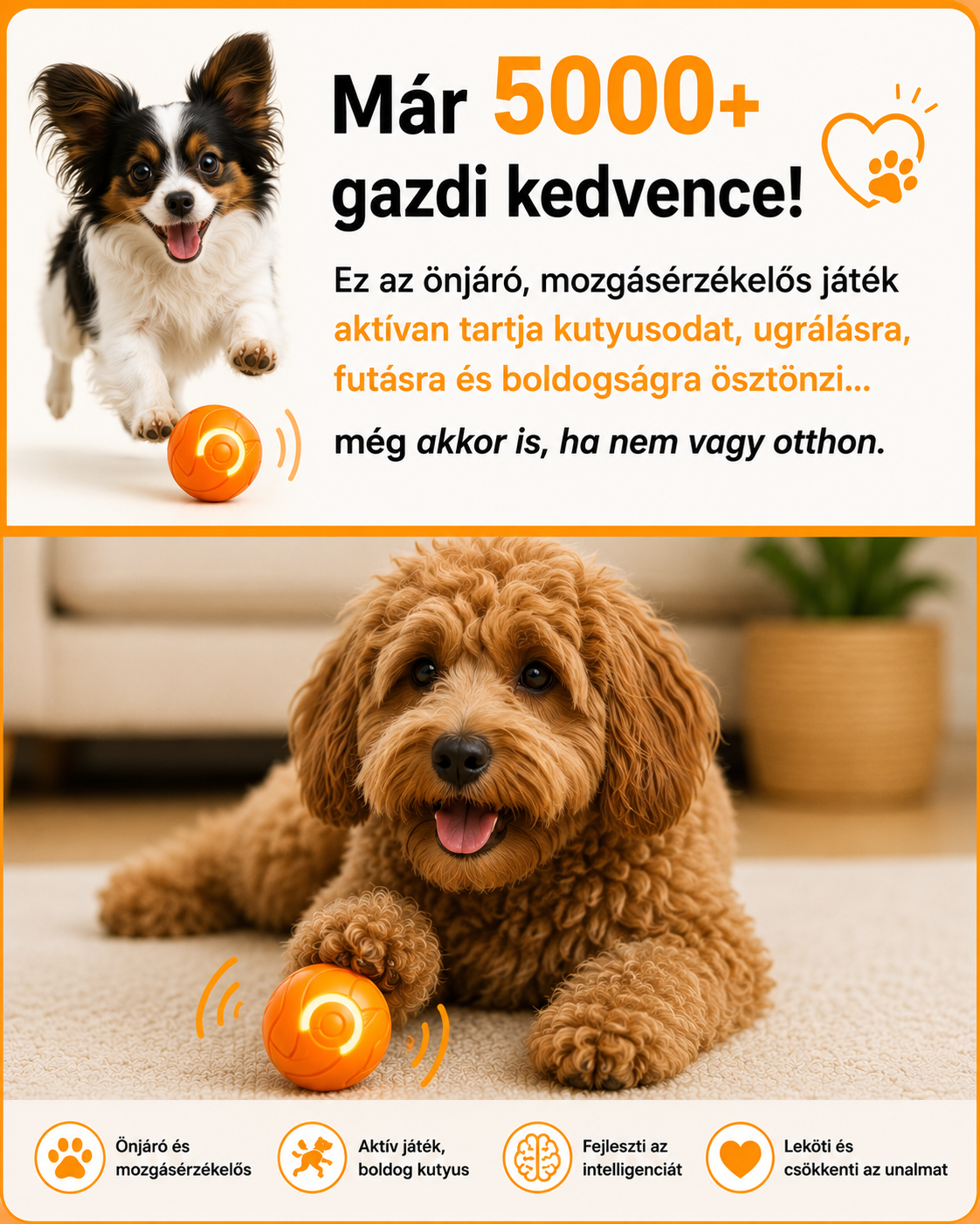MancsVilág™ |  Pattancs