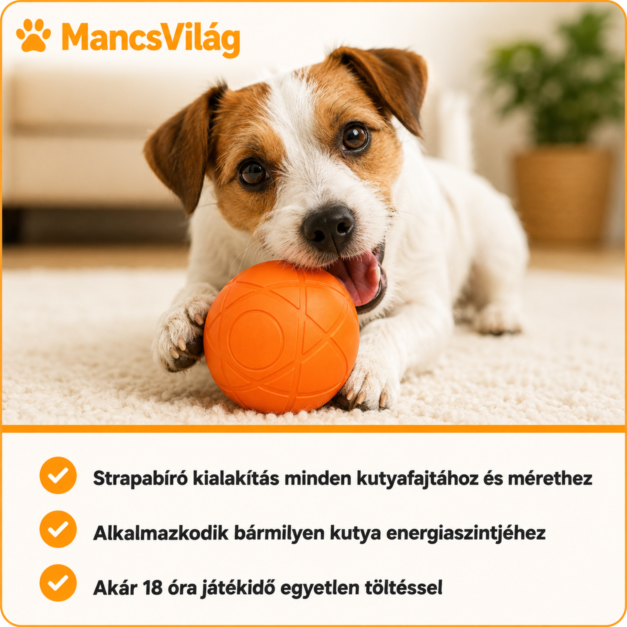 MancsVilág™ |  Pattancs