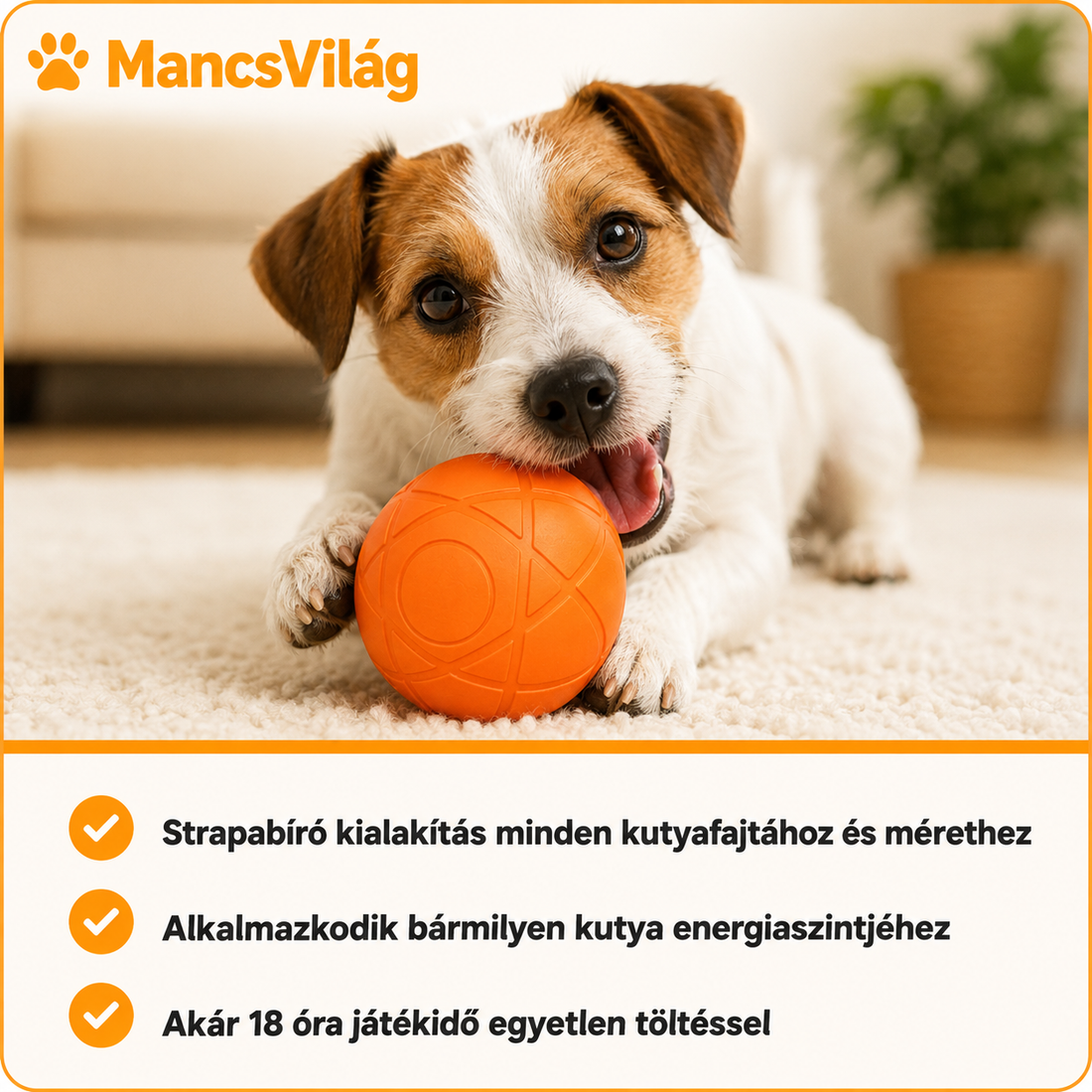 MancsVilág™ |  Pattancs