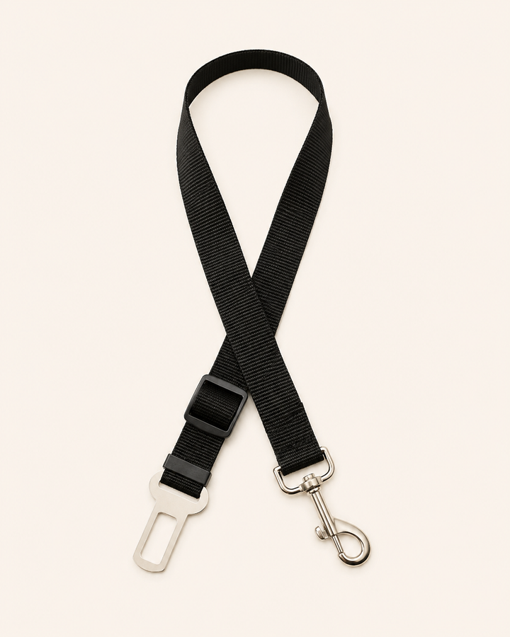MancsVilág™ | Autós Biztonsági Öv